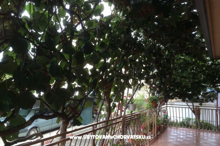 Kiwi Maison – foto 5