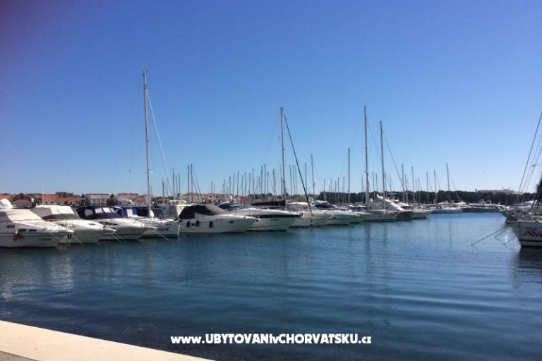 Kiwi Maison – foto 6