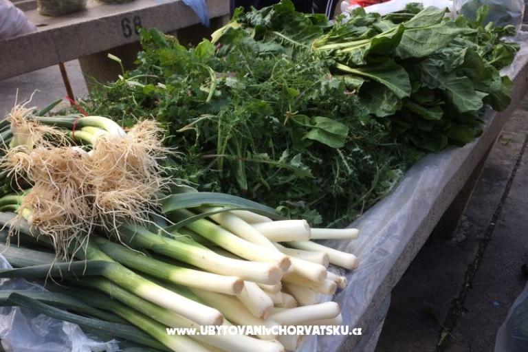 Kiwi Maison – foto 7