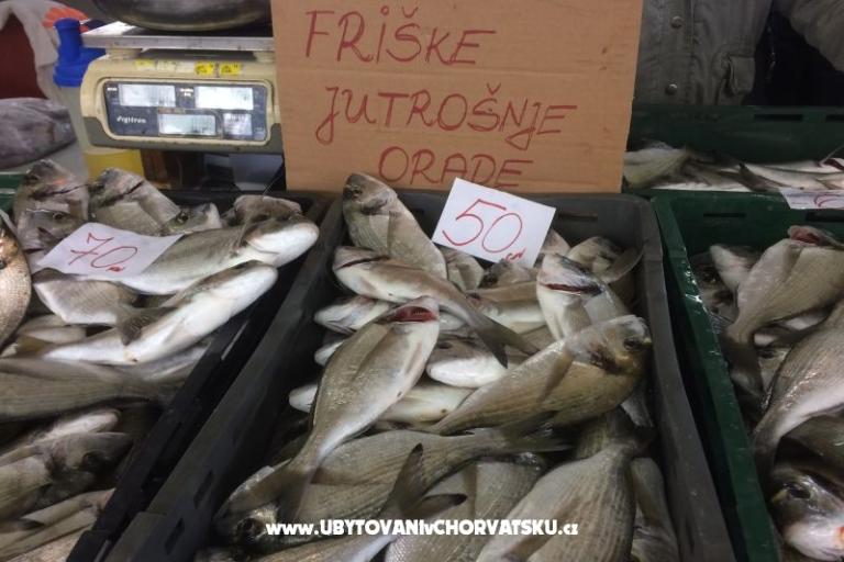 Kiwi Maison – foto 8
