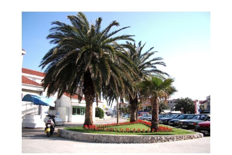 Appartements  Vesna  – foto 14