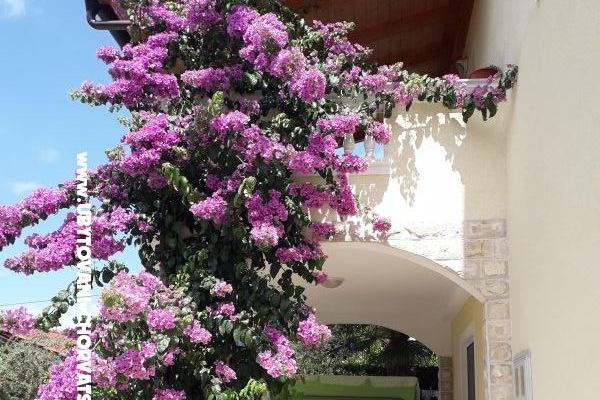 Appartements  Vesna  – foto 20