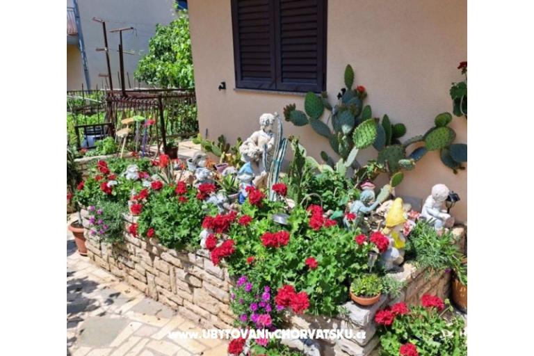 Villa Neda – foto 3