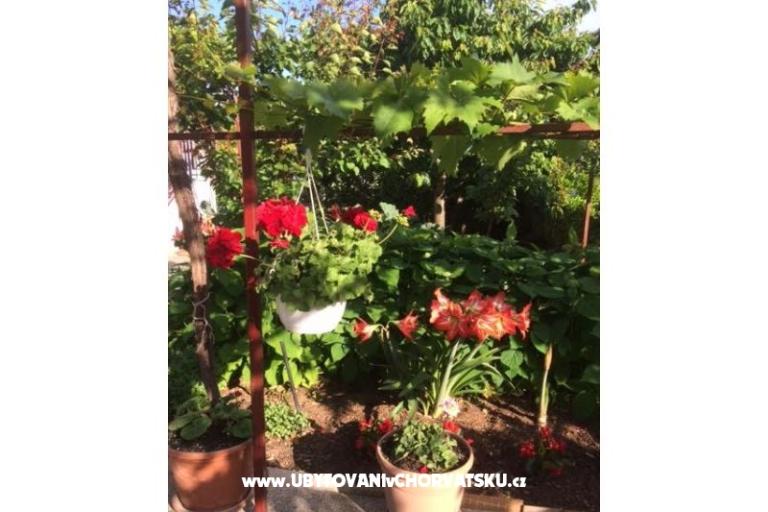 Villa Tanja *** – foto 7