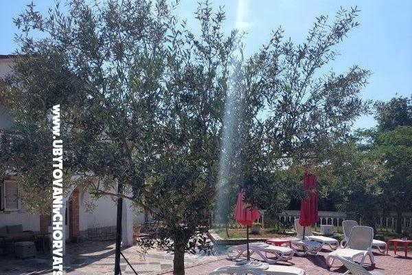 Appartements Chipo – foto 3