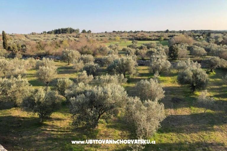 Casadigioia Appartements – foto 6