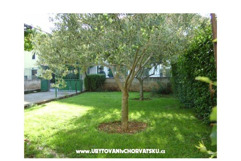 Appartement  Dalmacija – foto 17