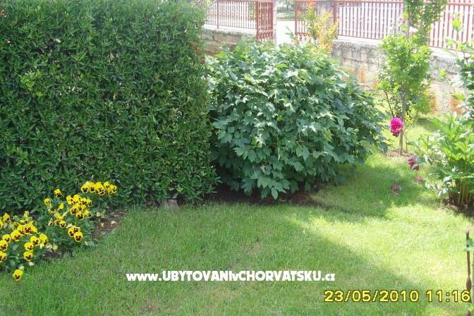 Appartement Amico – foto 8