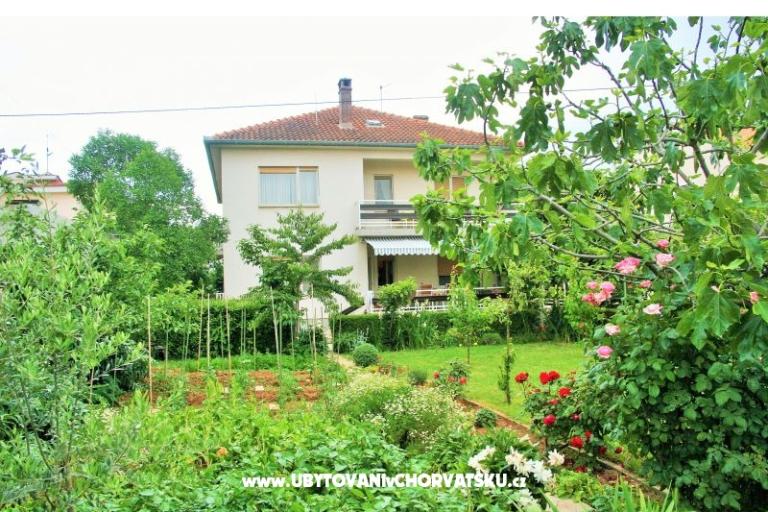 Sunny side – foto 15