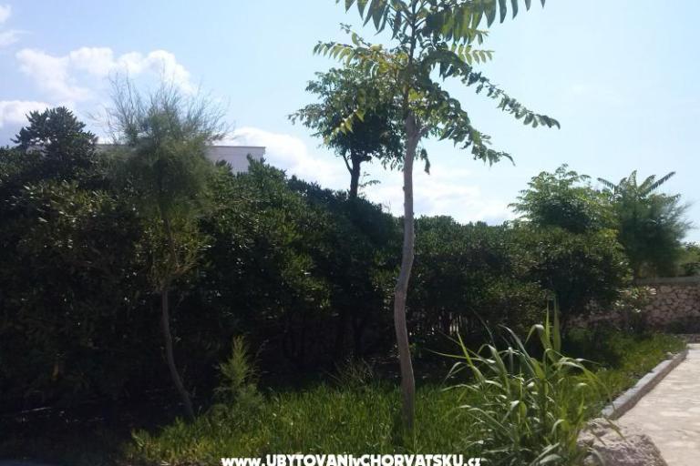 Appartement Milka – foto 16