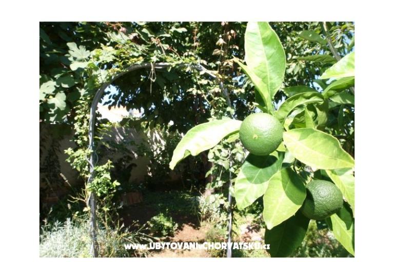 Appartements Andredor – foto 7