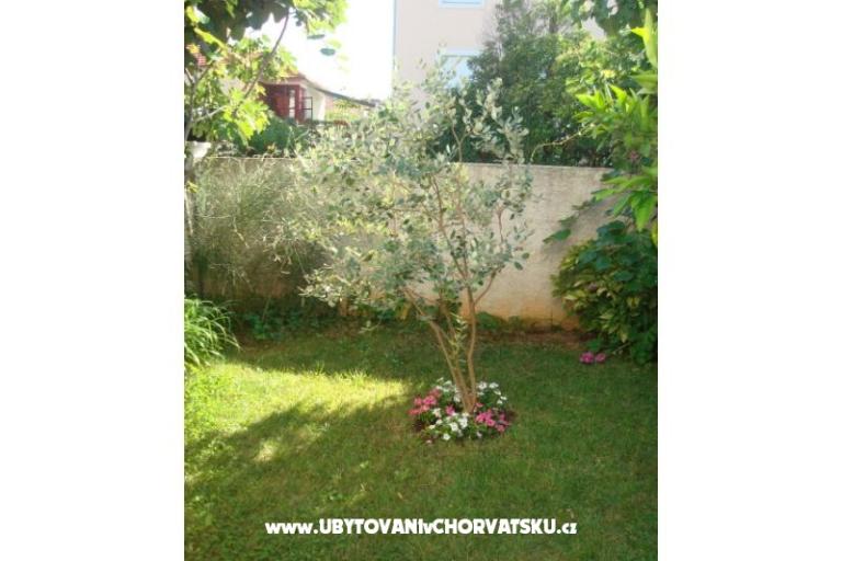 Appartements Andredor – foto 8