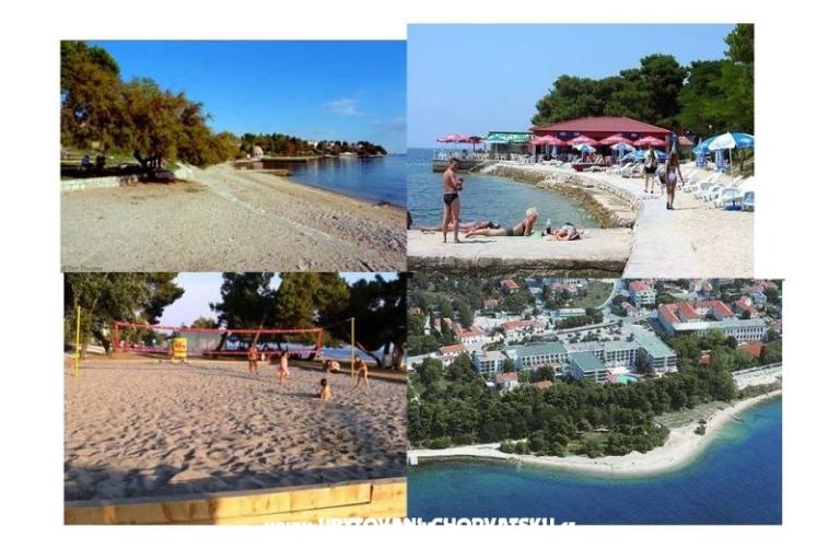 App Andrijana Zadar - 50 m beach – foto 17