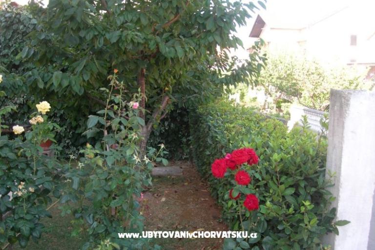 Appartements Ravkin – foto 9