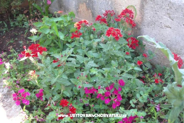 Appartements Ravkin – foto 10