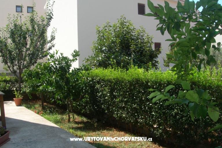 Appartements Ravkin – foto 7