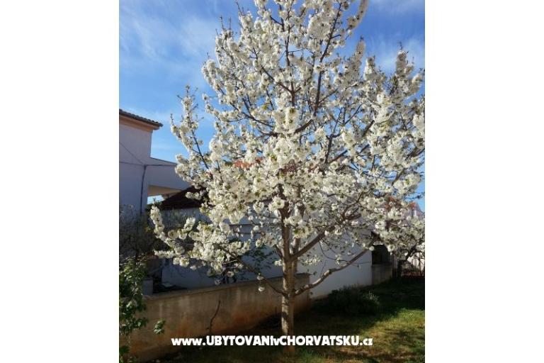 Appartements Stela – foto 9