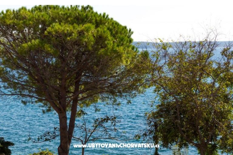 Appartements Stošić – foto 10