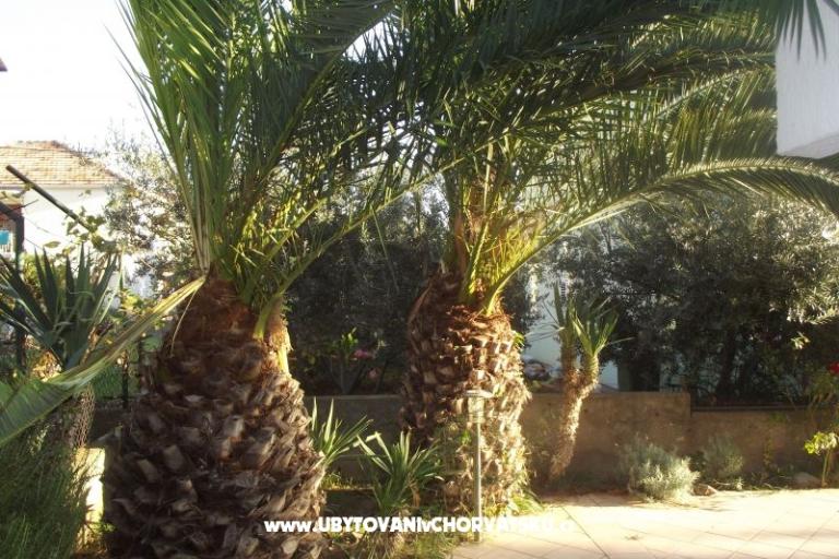 Appartements Borik – foto 2