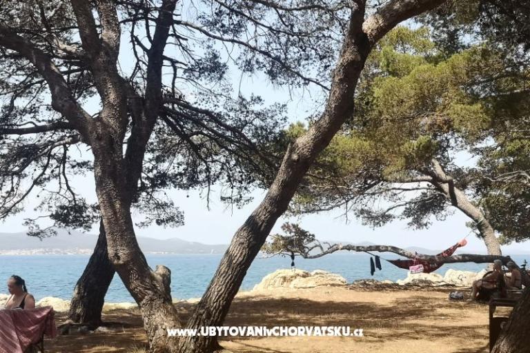 Appartements Asea Zadar – foto 6