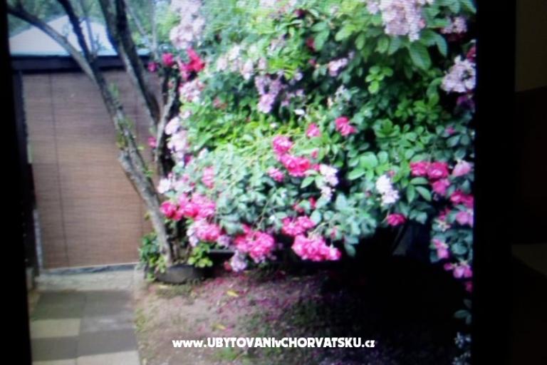 Appartements Floresita – foto 16