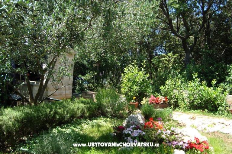 Appartements ISA – foto 12