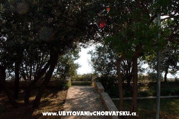 Appartements ISA – foto 6