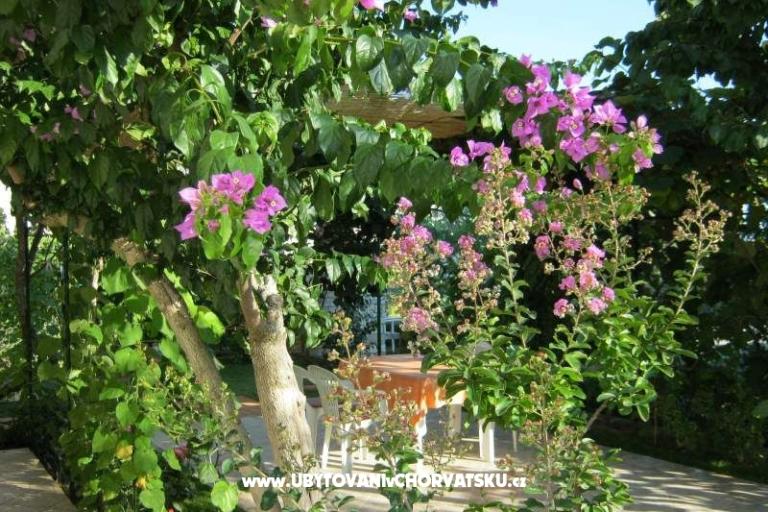 Appartements Maja – foto 14