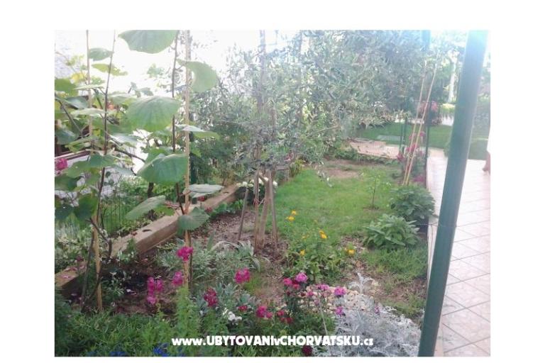 Appartements Maja – foto 15