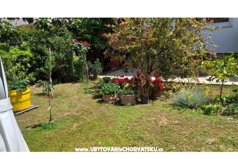 Appartements Manda – foto 17