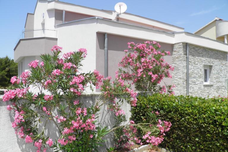 Appartements Mirakul – foto 8