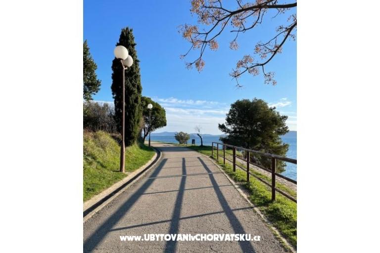 Accommodation Rita – foto 16