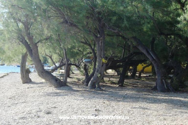 Appartements Hudi – foto 14