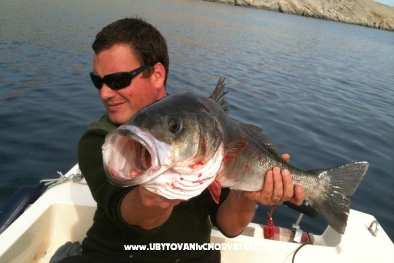 Holiday Rtina – foto 17