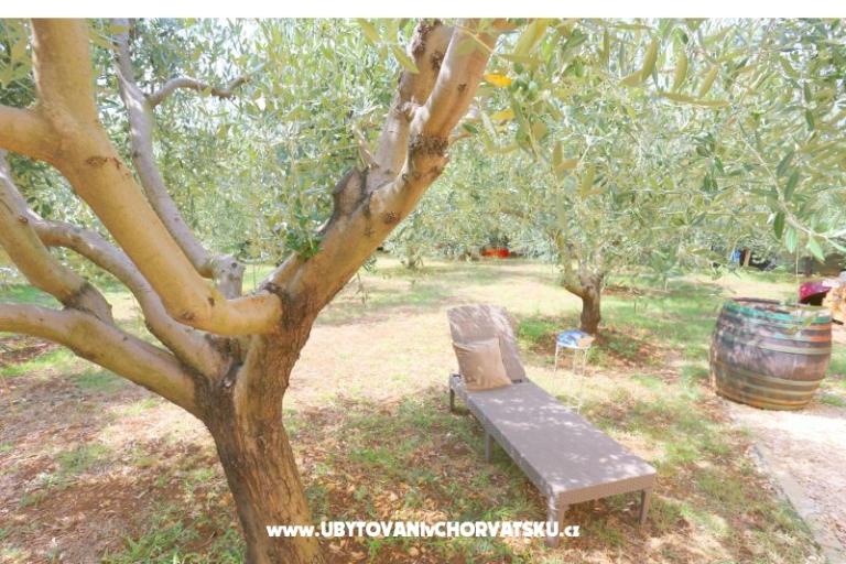 Snježana – foto 13