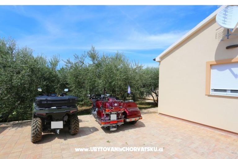 Snježana – foto 17