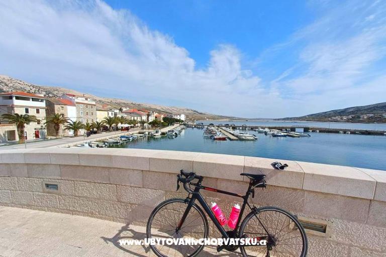 Snježana – foto 21