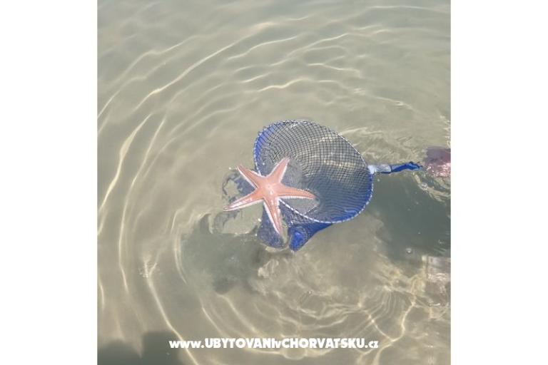 Snježana – foto 23