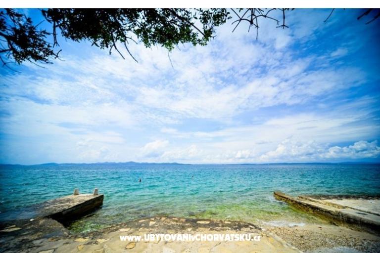 Villa IBIS – foto 4