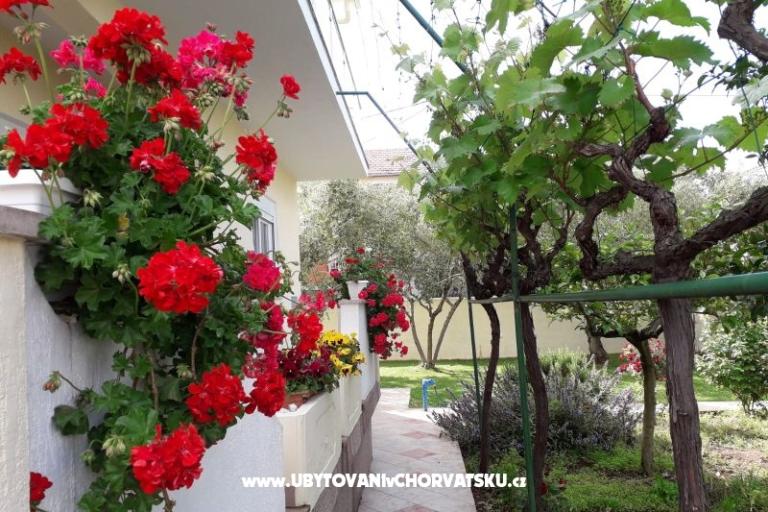 Villa Rosemarino – foto 4