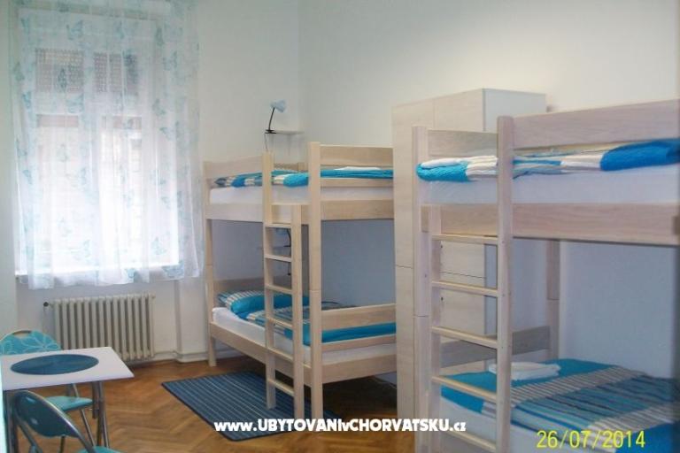 Chameleon hostel – foto 9