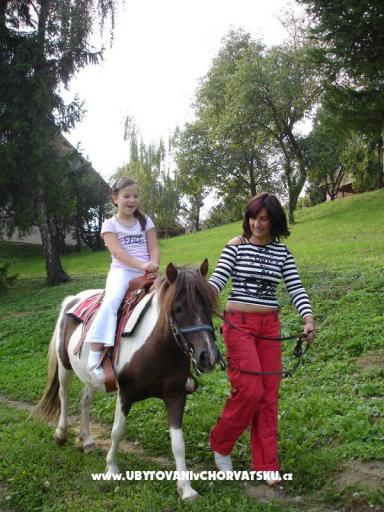 Pension Vuglec Breg  B&amp;B – foto 6
