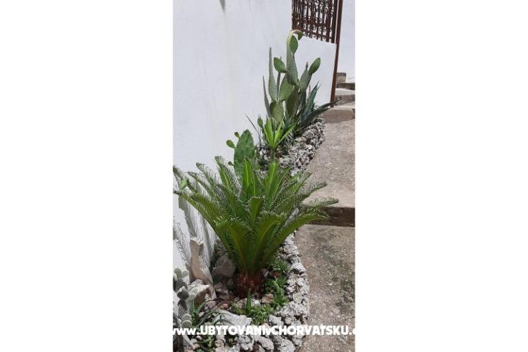 Appartements Ružica  – foto 12