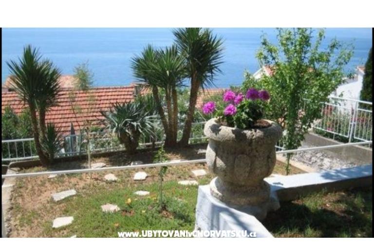 Apartment Amalia – foto 4