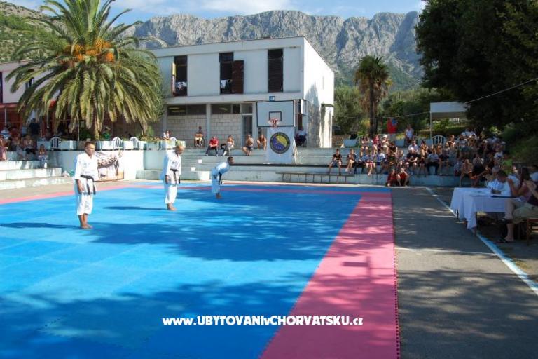 Bossina Zaostrog – foto 7