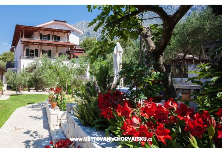 Casa Viter – foto 3