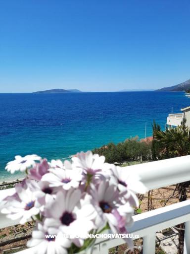 Vila Neda – foto 3