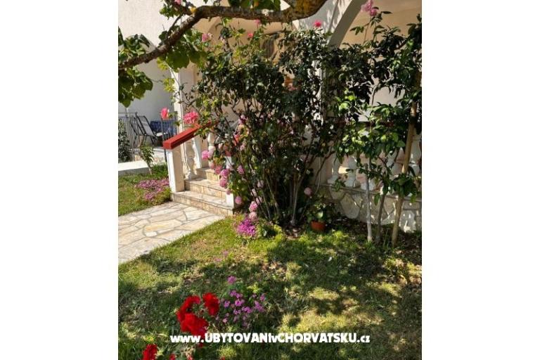 Appartements Ana Ercegović  – foto 11
