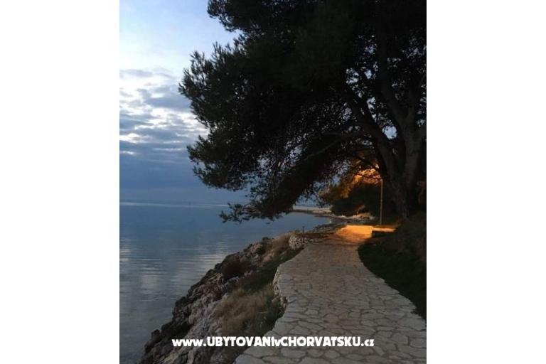 Appartements Ana Ercegović  – foto 13