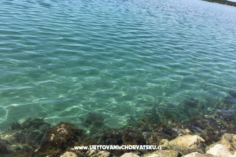 Appartements Ana Ercegović  – foto 15